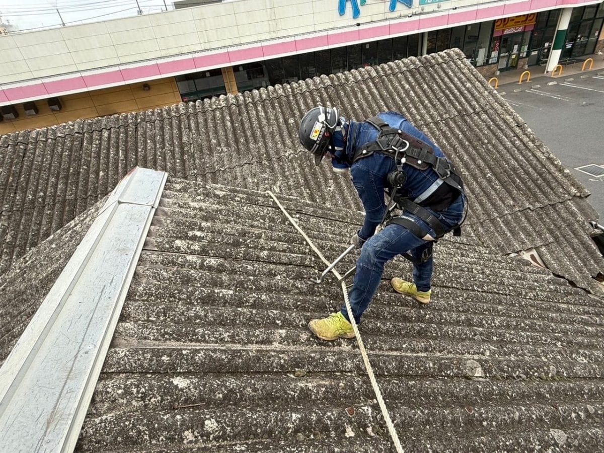 レベル3の参考画像