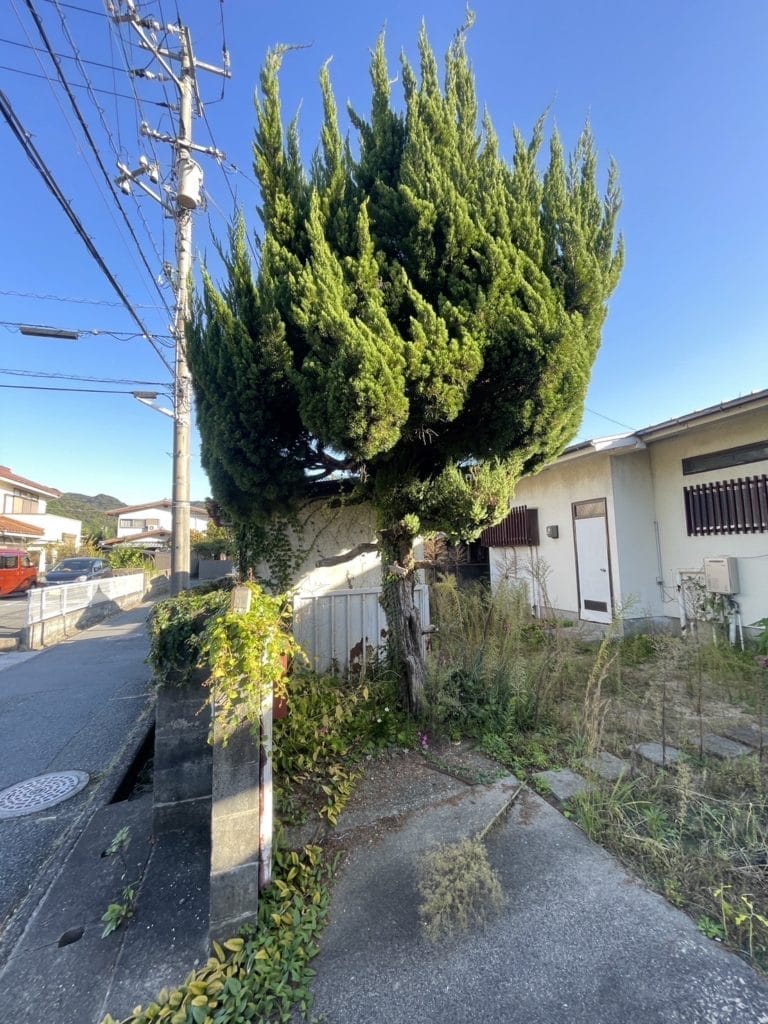 宇部市で伐採なら株式会社ブラスト