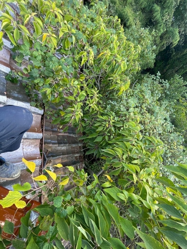 宇部　解体工事瓦剥ぎの様子